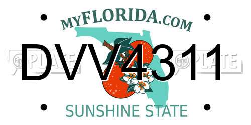 DVV4311 Florida License Plate