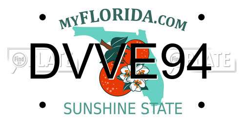 DVVE94 Florida License Plate
