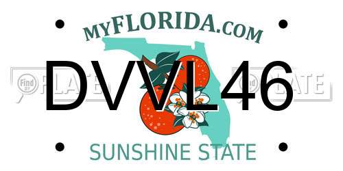 DVVL46 Florida License Plate