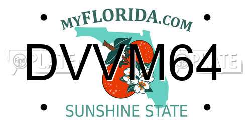 DVVM64 Florida License Plate