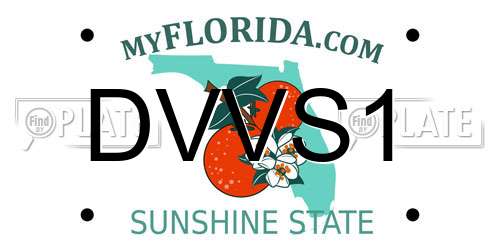 DVVS1 Florida License Plate