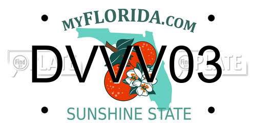 DVVV03 Florida License Plate
