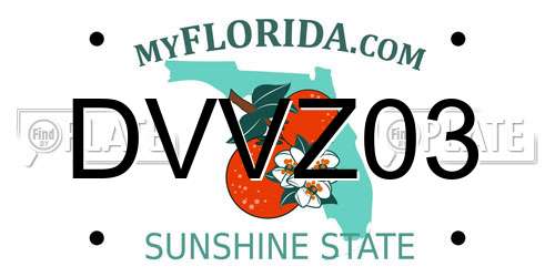 DVVZ03 Florida License Plate
