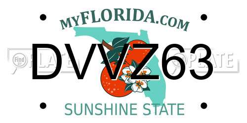 DVVZ63 Florida License Plate