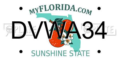 DVWA34 Florida License Plate