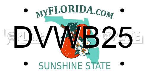 DVWB25 Florida License Plate