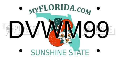 DVWM99 Florida License Plate