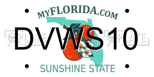 DVWS10 Florida License Plate