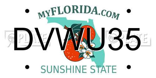DVWU35 Florida License Plate