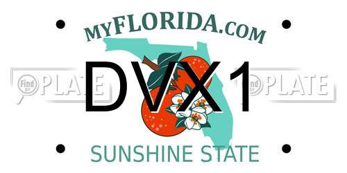 DVX1 Florida License Plate