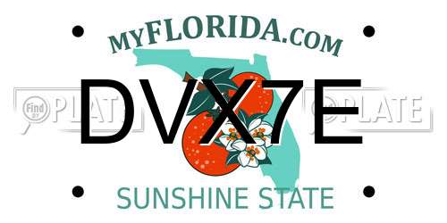DVX7E Florida License Plate