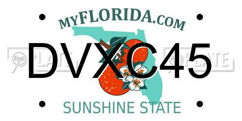 DVXC45 Florida License Plate