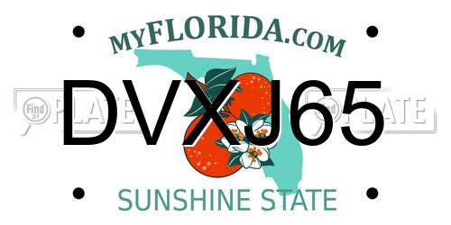 DVXJ65 Florida License Plate