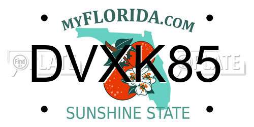 DVXK85 Florida License Plate