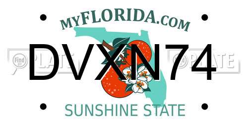 DVXN74 Florida License Plate