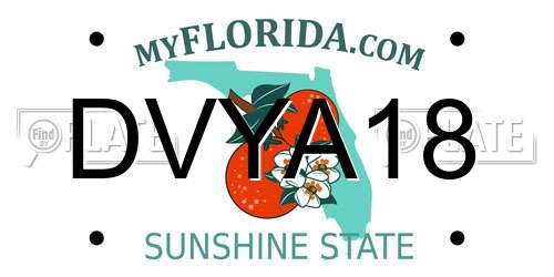 DVYA18 Florida License Plate