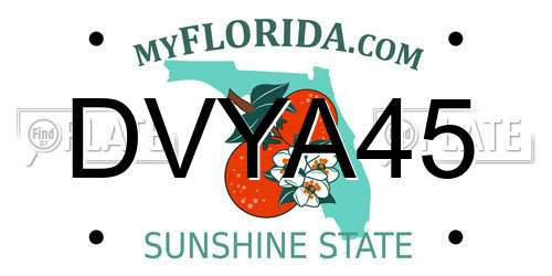 DVYA45 Florida License Plate