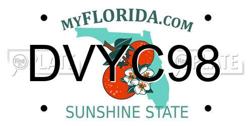 DVYC98 Florida License Plate