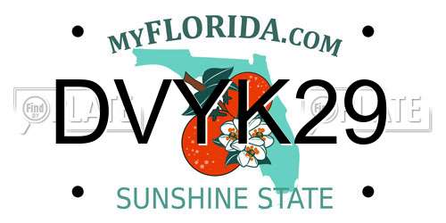 DVYK29 Florida License Plate