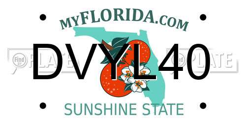 DVYL40 Florida License Plate