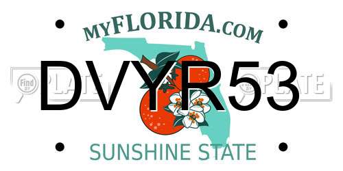 DVYR53 Florida License Plate