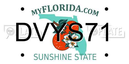 DVYS71 Florida License Plate