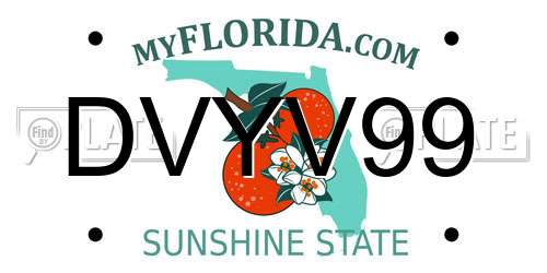 DVYV99 Florida License Plate