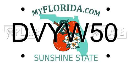 DVYW50 Florida License Plate