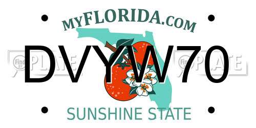 DVYW70 Florida License Plate