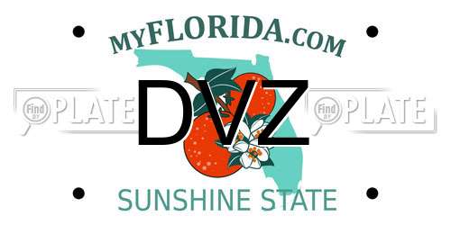 DVZ Florida License Plate