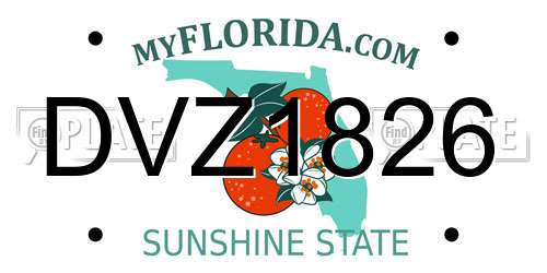 DVZ1826 Florida License Plate