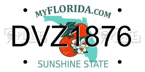 DVZ1876 Florida License Plate