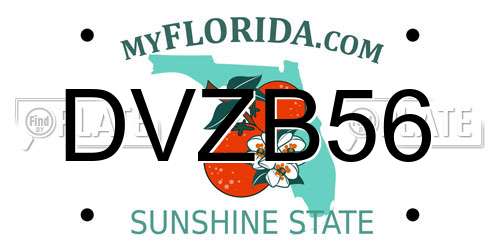 DVZB56 Florida License Plate