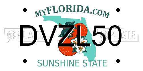 DVZL50 Florida License Plate