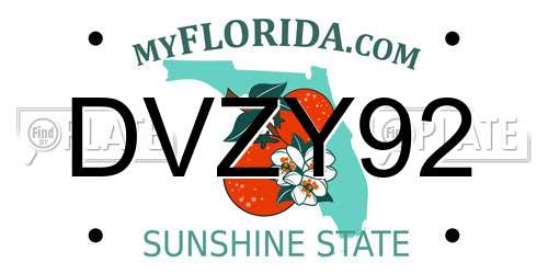 DVZY92 Florida License Plate