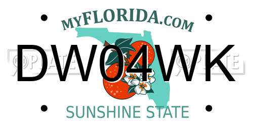 DW04WK Florida License Plate