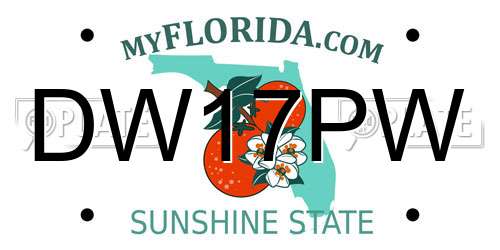 DW17PW Florida License Plate