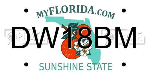 DW18BM Florida License Plate