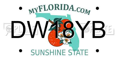 DW18YB Florida License Plate