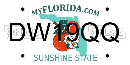 DW19QQ Florida License Plate