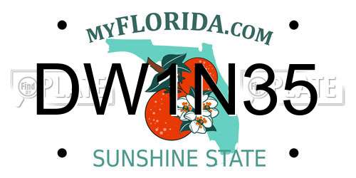 DW1N35 Florida License Plate