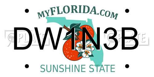 DW1N3B Florida License Plate