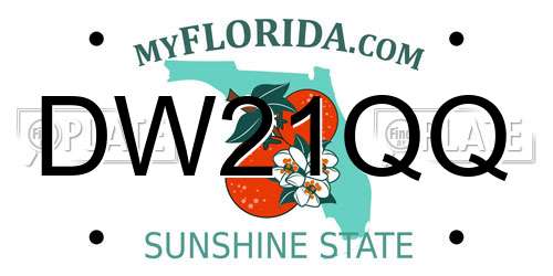 DW21QQ Florida License Plate