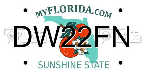 DW22FN Florida License Plate