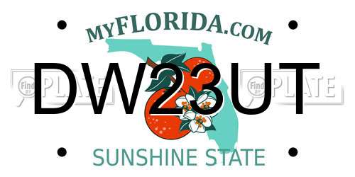 DW23UT Florida License Plate