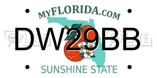 DW29BB Florida License Plate