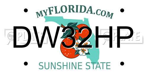DW32HP Florida License Plate
