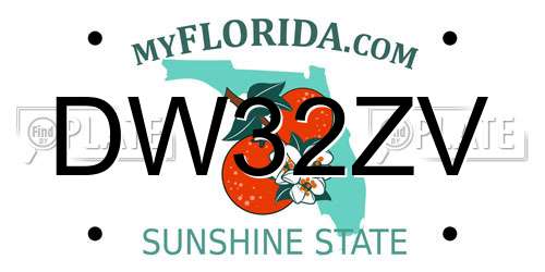 DW32ZV Florida License Plate