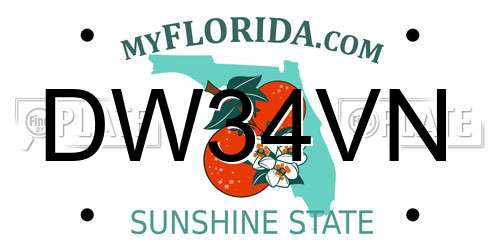 DW34VN Florida License Plate