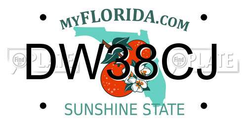 DW38CJ Florida License Plate